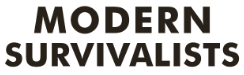 logo_modern